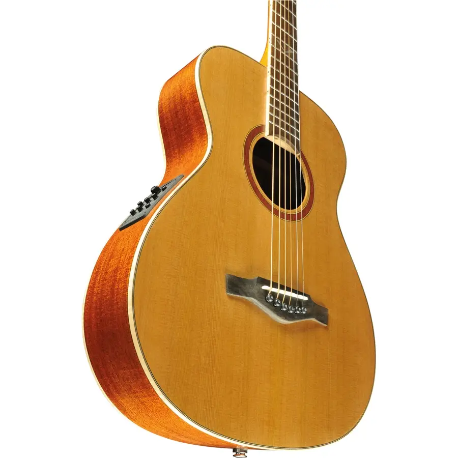 16-eko-guitars-evo-iii-baritone-blend-eq-06217238_5