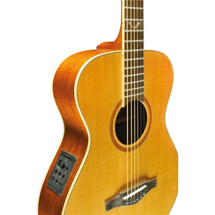 16-eko-guitars-evo-iii-baritone-blend-eq-06217238_6