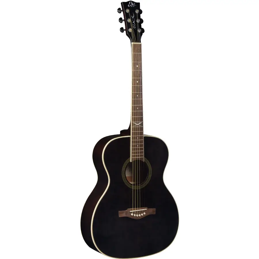 16-eko-guitars-nxt-a100-see-through-black-06217336_0