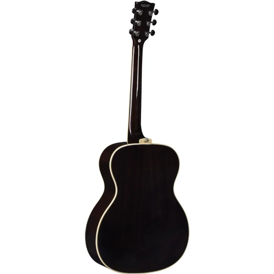 16-eko-guitars-nxt-a100-see-through-black-06217336_1