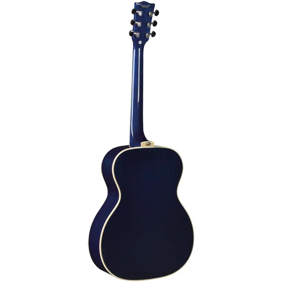 16-eko-guitars-nxt-a100-see-through-blue-06217337_1