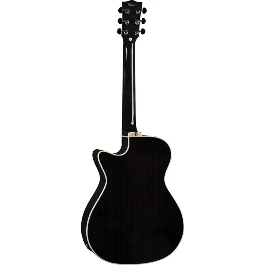 16-eko-guitars-nxt-a100ce-see-through-black-06217322_1