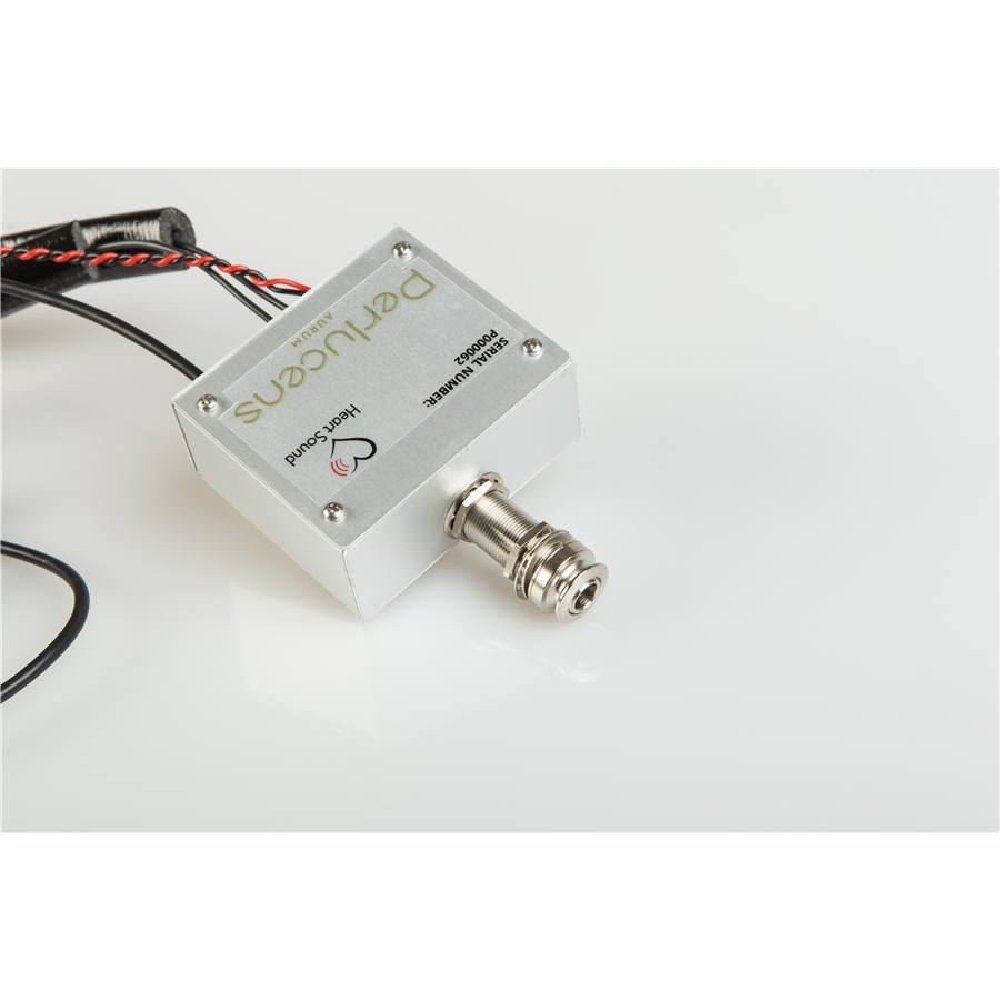 16-eko-guitars-perlucens-aurum-16700001_0