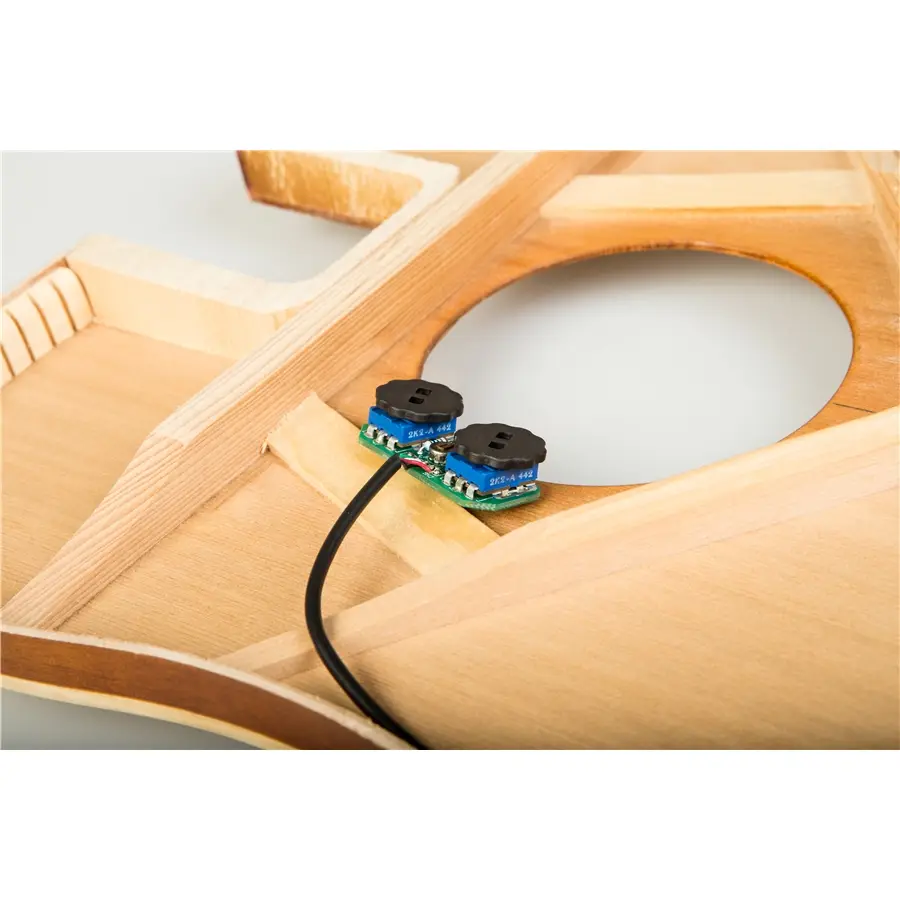 16-eko-guitars-perlucens-aurum-16700001_6