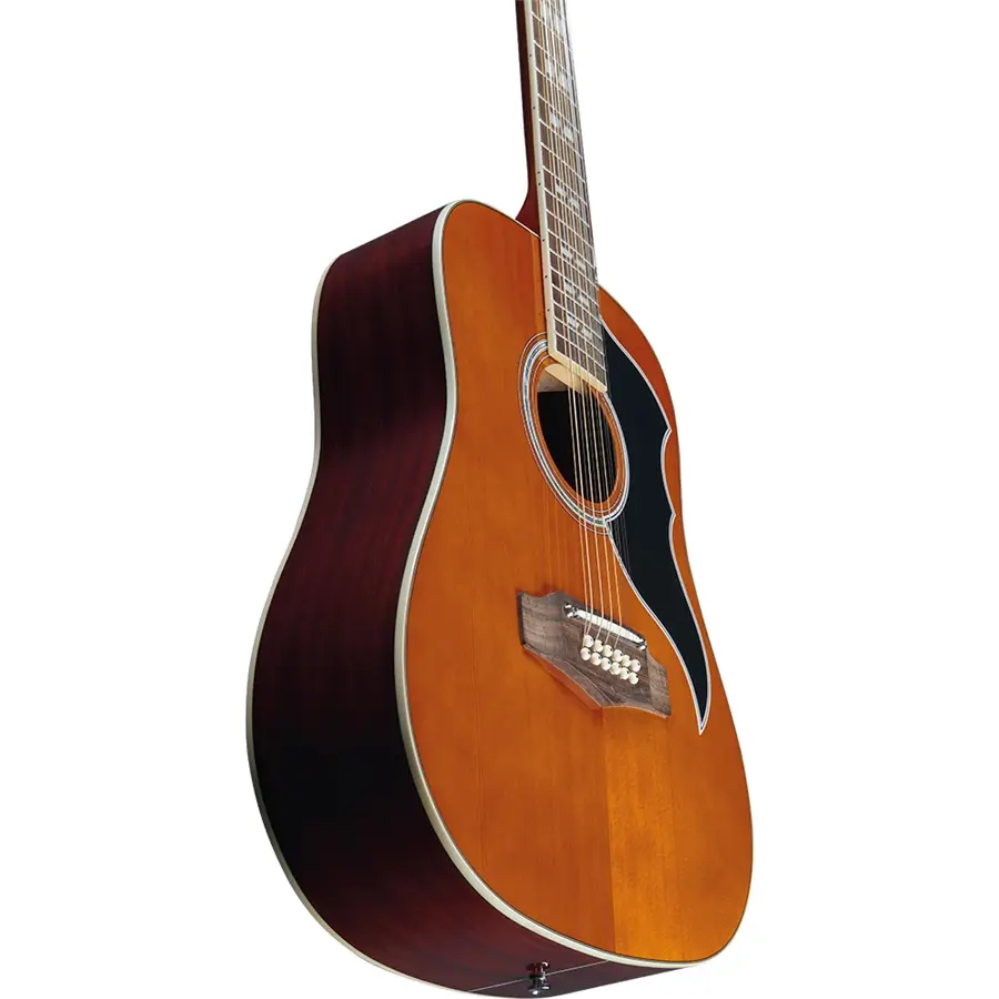 16-eko-guitars-ranger-xii-vr-eq-natural-top-stained-06217129_3