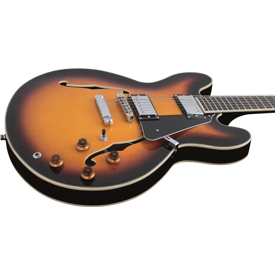 16-eko-guitars-sa-350-05130241_3