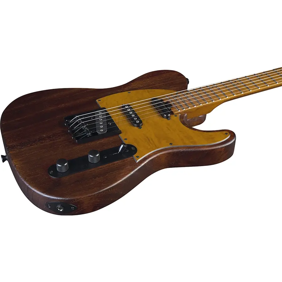 16-eko-guitars-tero-701-wildwood-05134066_3