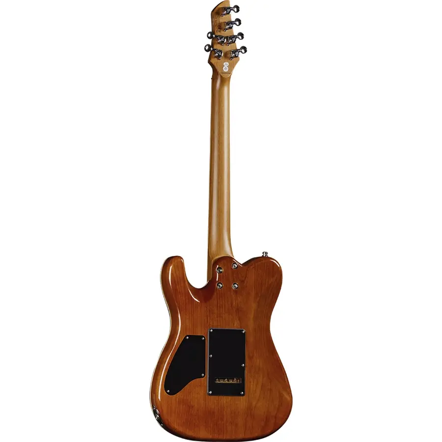 16-eko-guitars-tero-801-musa-grey-flamed-05134071_1