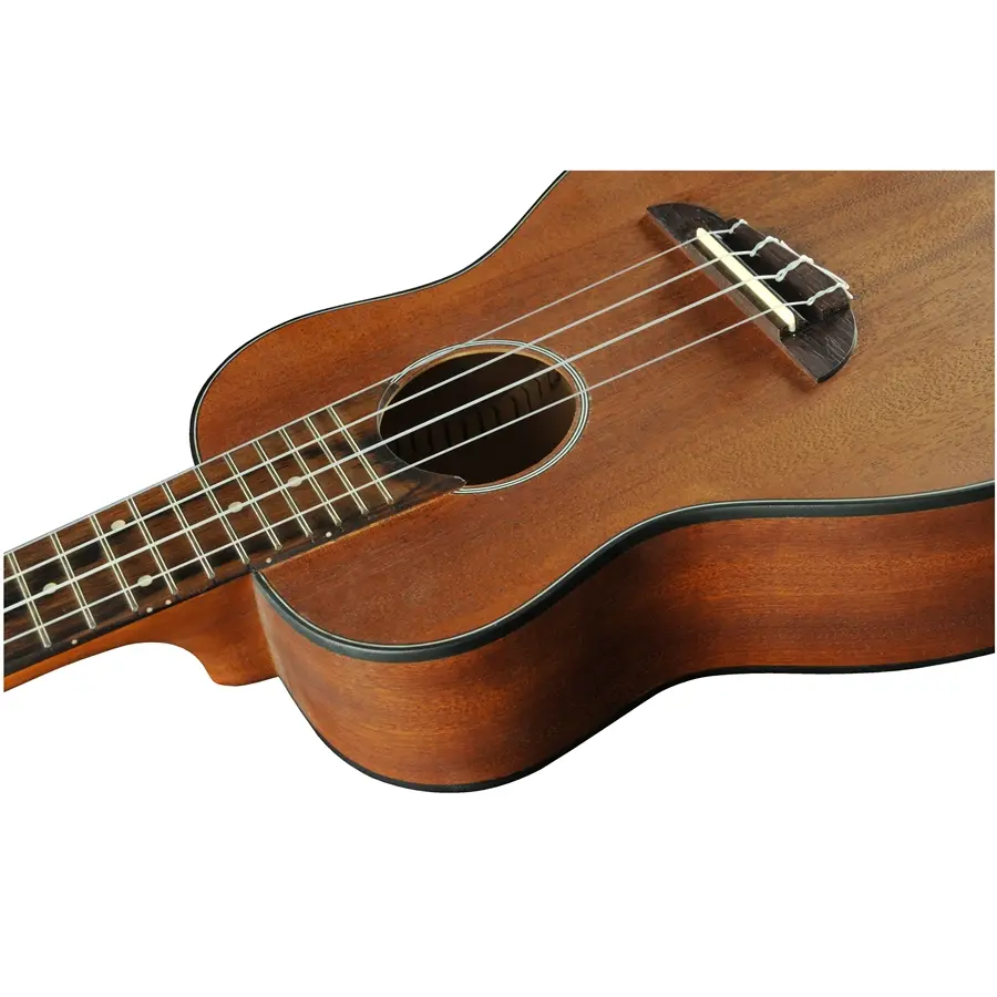 16-eko-guitars-uku-duo-ukulele-concerto-06201017_5