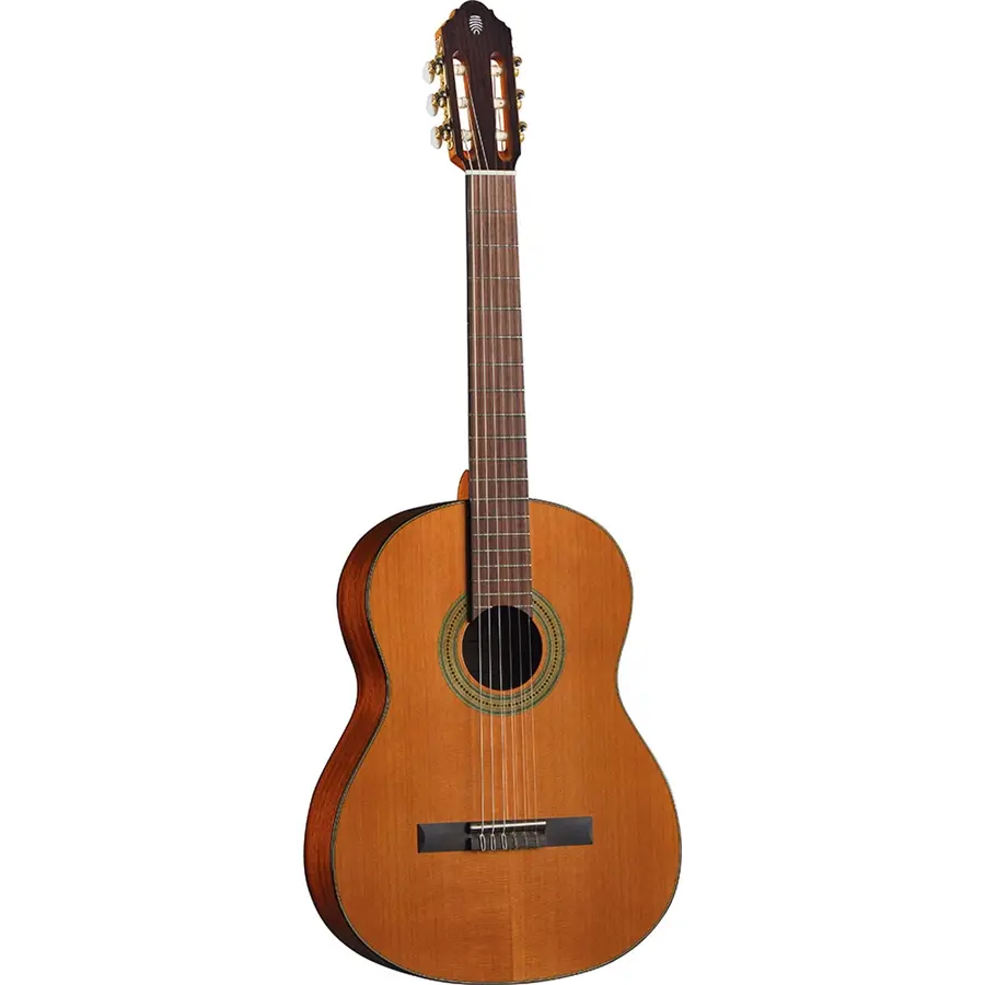 16-eko-guitars-vibra-300-natural-06204134_0