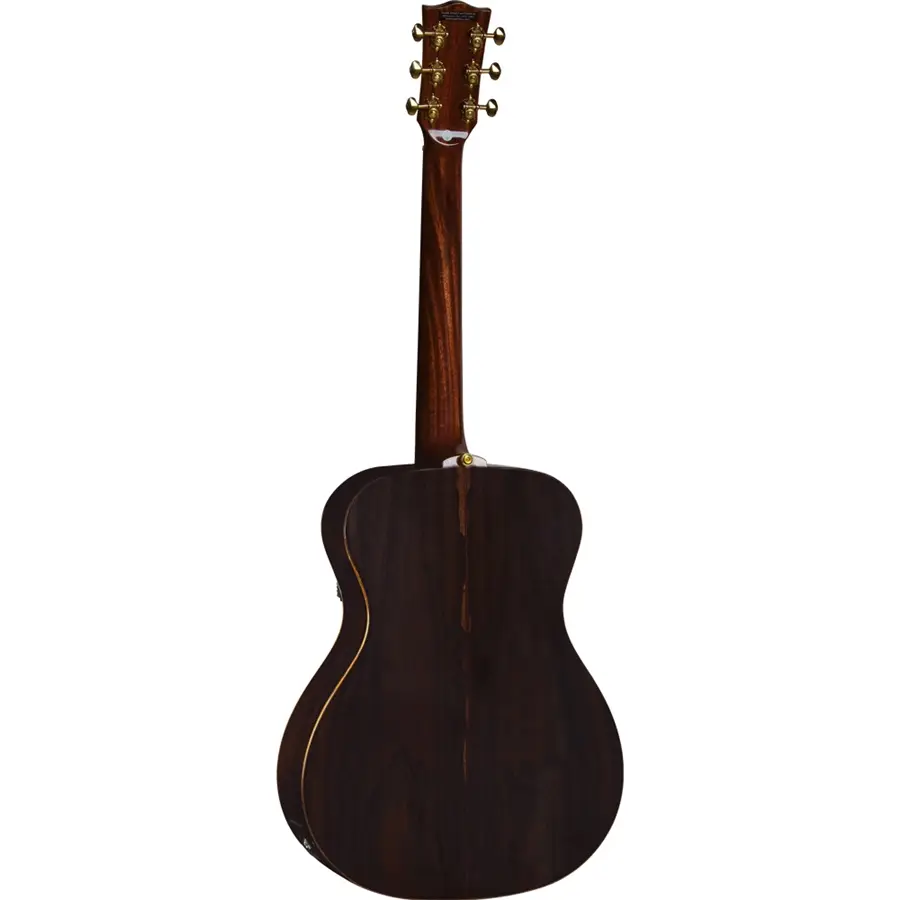 16-eko-guitars-wow-a800e-sz-ltd-spruce-ziricote-06217196_1