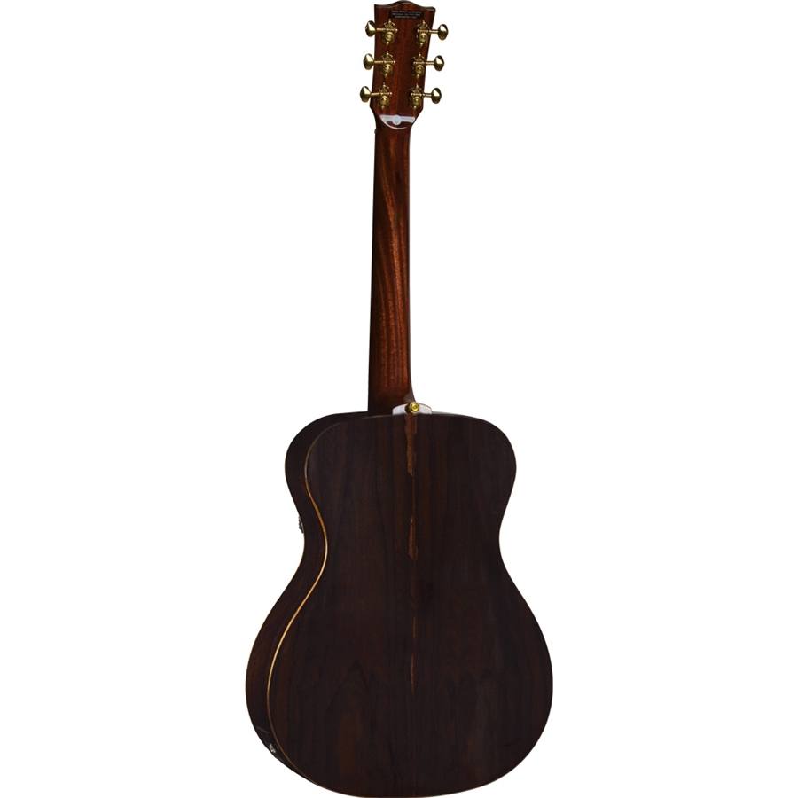 16-eko-guitars-wow-a800e-sz-ltd-spruce-ziricote-06217196_1