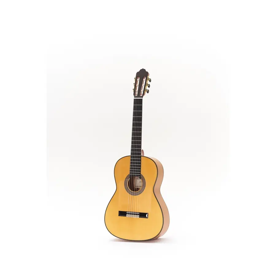 23-esteve-alegria-chitarra-flamenca-06190475_0
