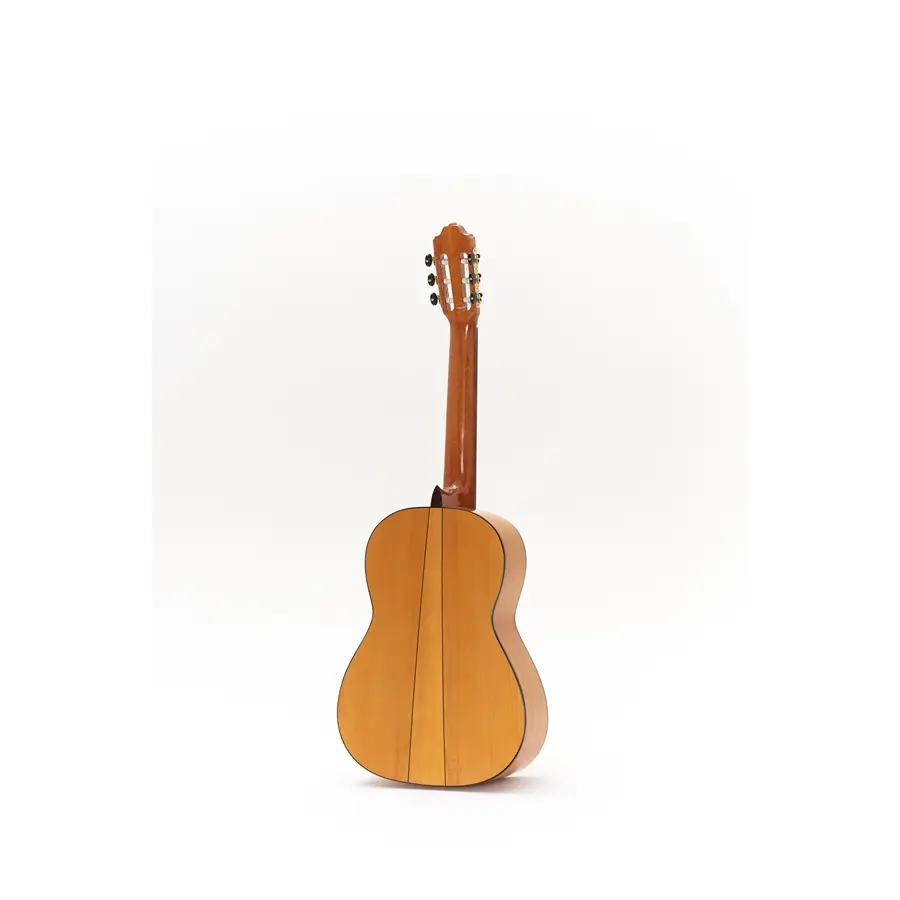 23-esteve-alegria-chitarra-flamenca-06190475_1