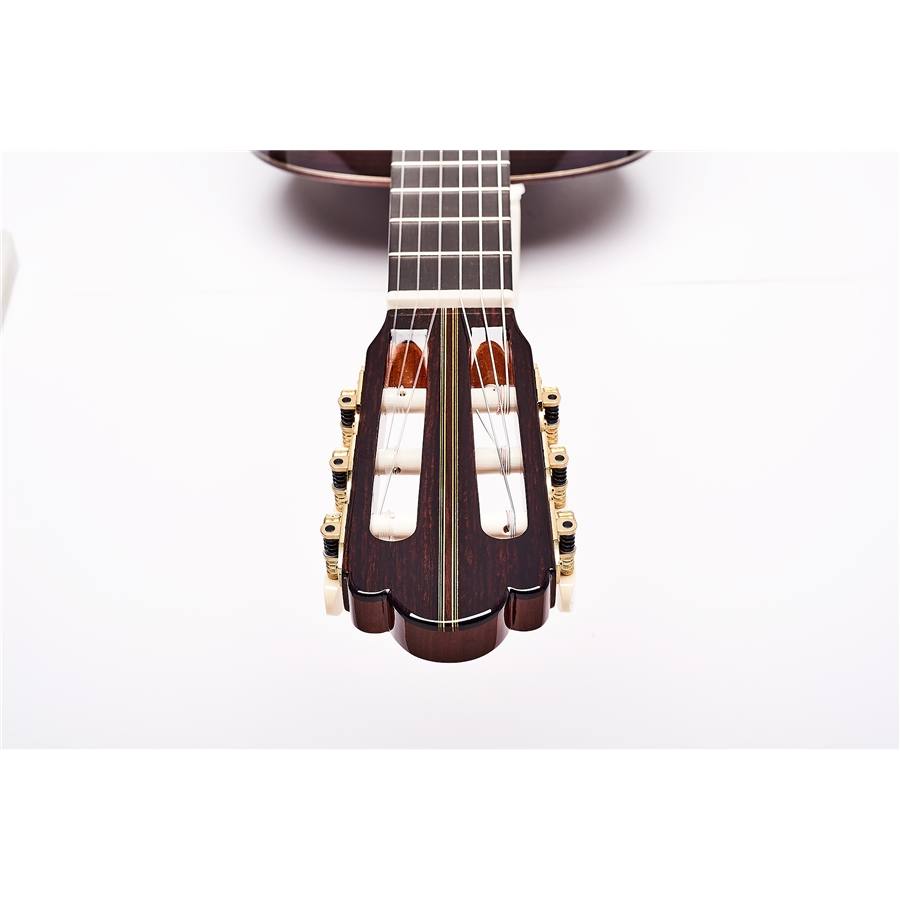 23-esteve-hauser-chitarra-classica-06190143_1