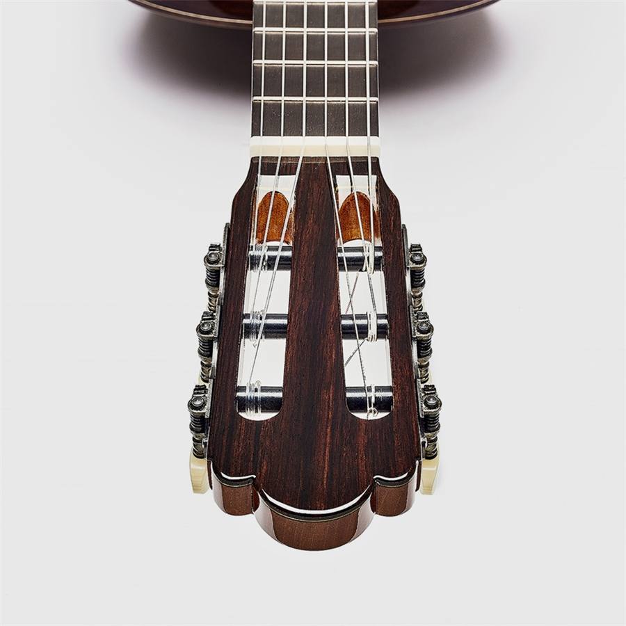 23-esteve-torres-chitarra-classica-06190136_2