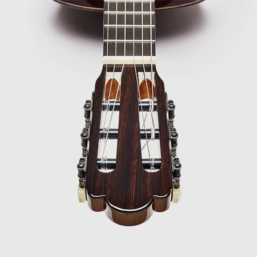 23-esteve-torres-chitarra-classica-06190136_2