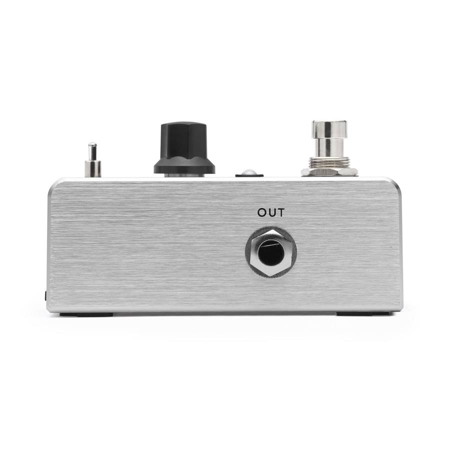 24-fishman-afx-broken-record-looper-mini-pro-afx-lp2-14304113_3