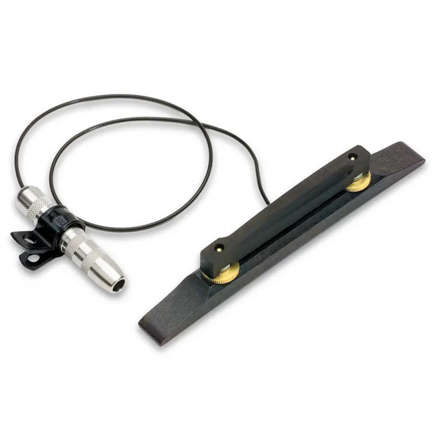 24-fishman-archtop-pickup-chitarra-14300400_0