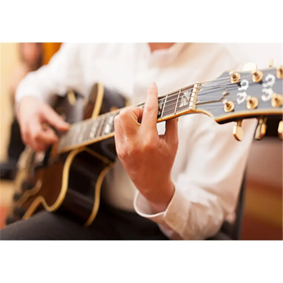 24-fishman-archtop-pickup-chitarra-14300400_1