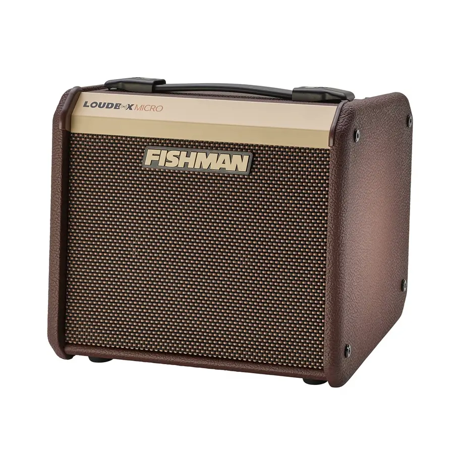 24-fishman-loudbox-micro-40w-pro-lbt-400-14301279_4
