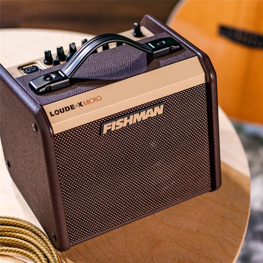 24-fishman-loudbox-micro-40w-pro-lbt-400-14301279_6
