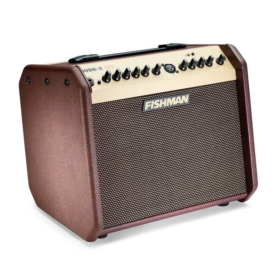 24-fishman-loudbox-mini-bluetooth-60w-pro-lbt-eu5-14301191_2