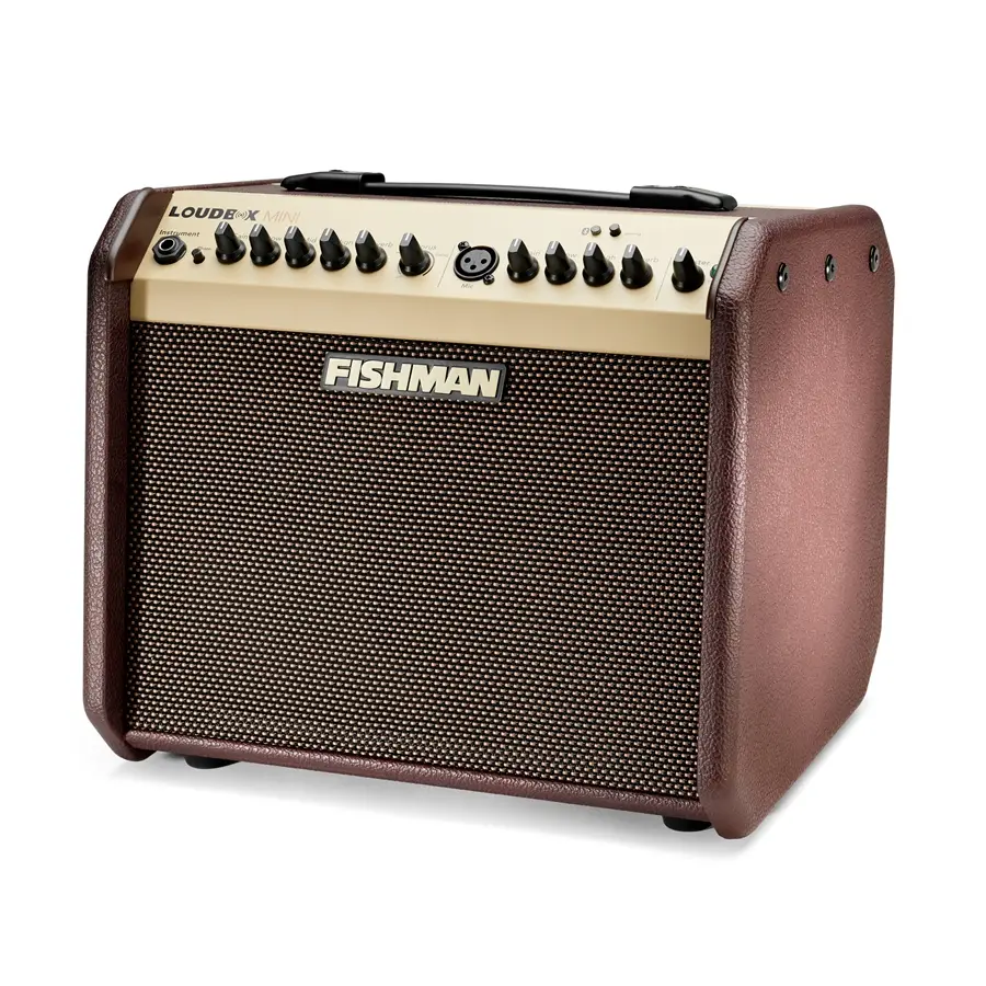 24-fishman-loudbox-mini-bluetooth-60w-pro-lbt-eu5-14301191_3
