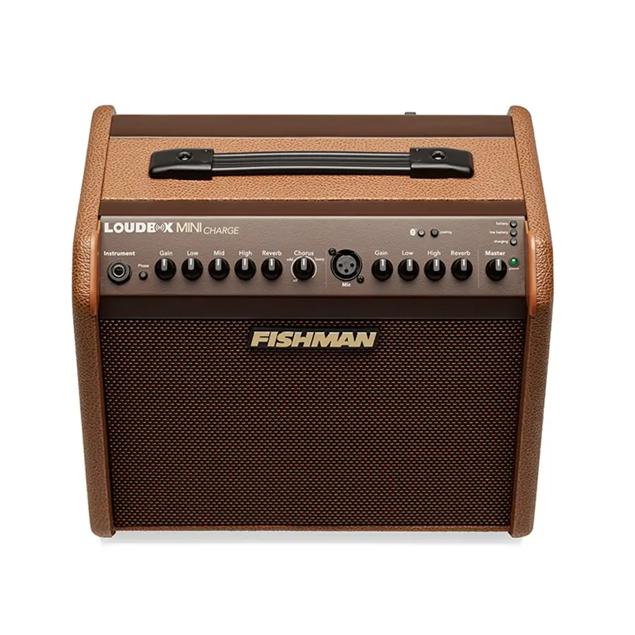 24-fishman-loudbox-mini-charge-bluetooth-60w-pro-lbc-500-14301211_0
