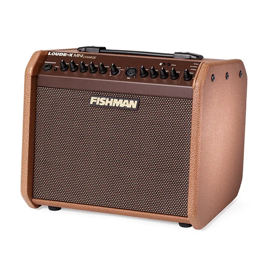 24-fishman-loudbox-mini-charge-bluetooth-60w-pro-lbc-500-14301211_2