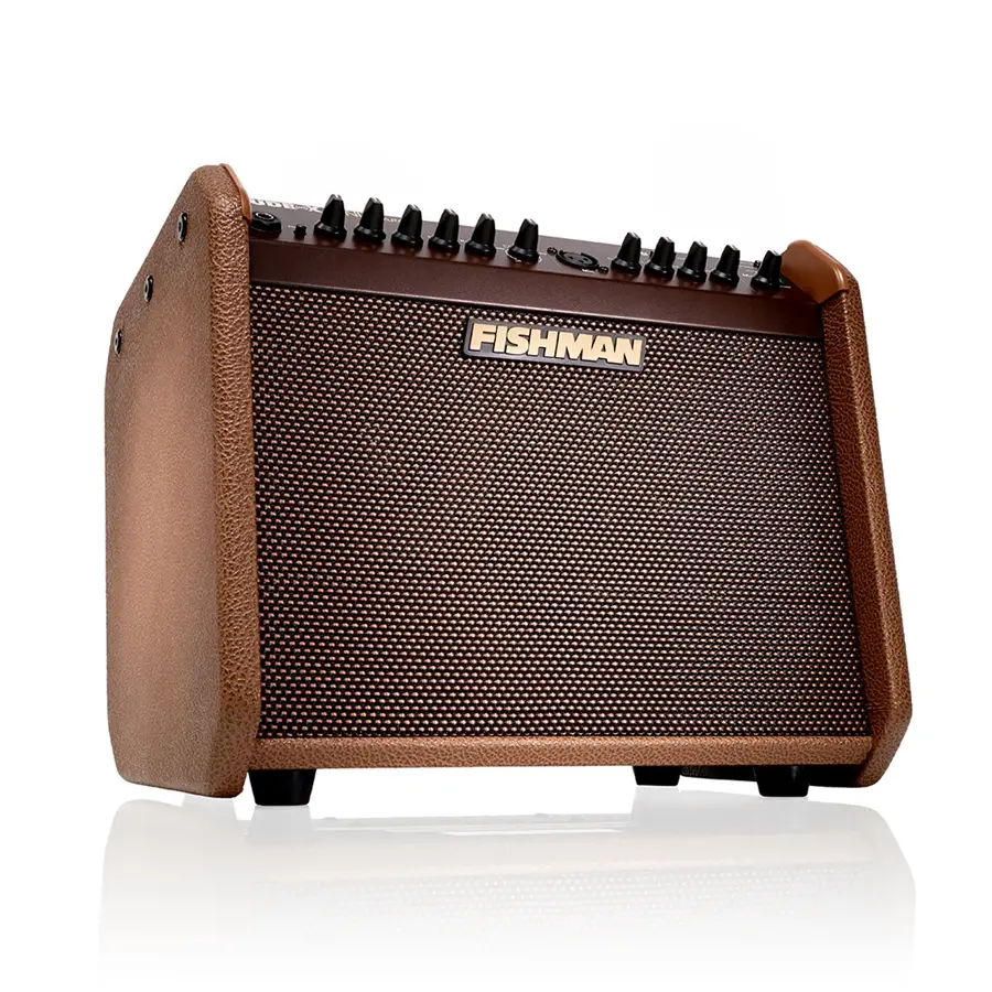 24-fishman-loudbox-mini-charge-bluetooth-60w-pro-lbc-500-14301211_5