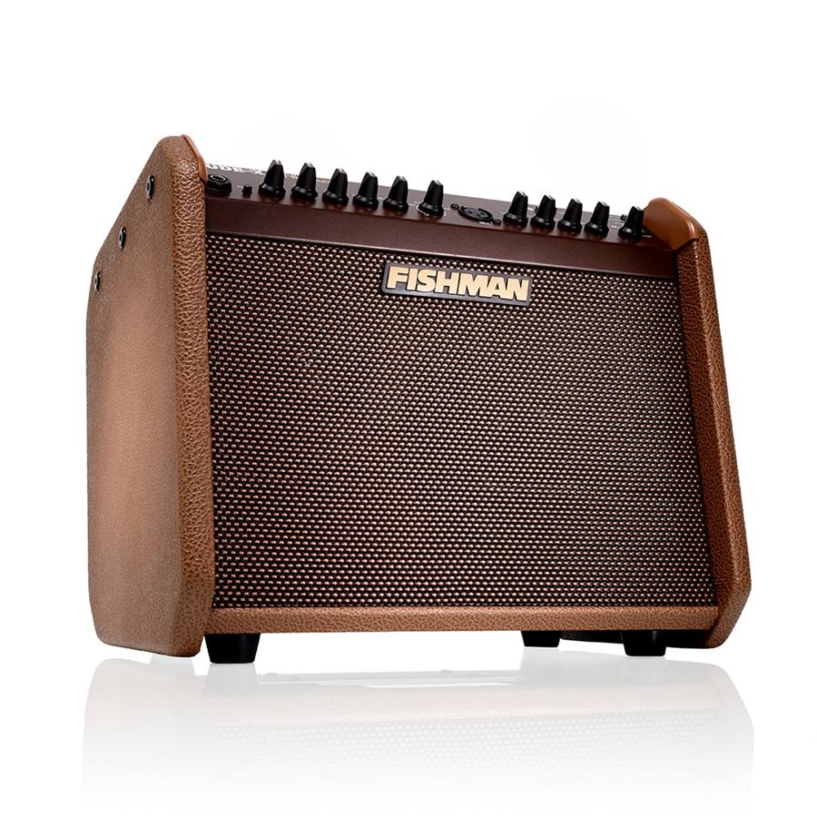 24-fishman-loudbox-mini-charge-bluetooth-60w-pro-lbc-500-14301211_5