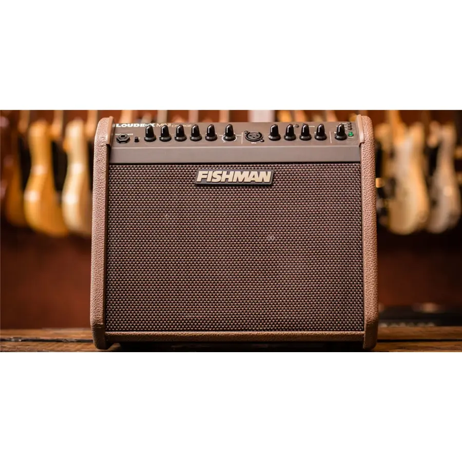 24-fishman-loudbox-mini-charge-bluetooth-60w-pro-lbc-500-14301211_6