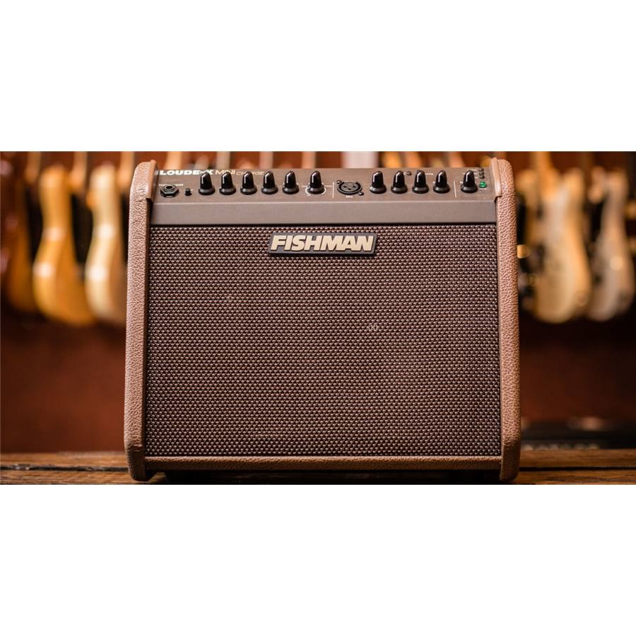 24-fishman-loudbox-mini-charge-bluetooth-60w-pro-lbc-500-14301211_6