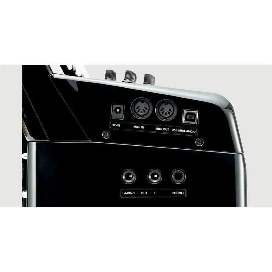 30-korg-fisa-suprema-button-mbk-c1280280701_7