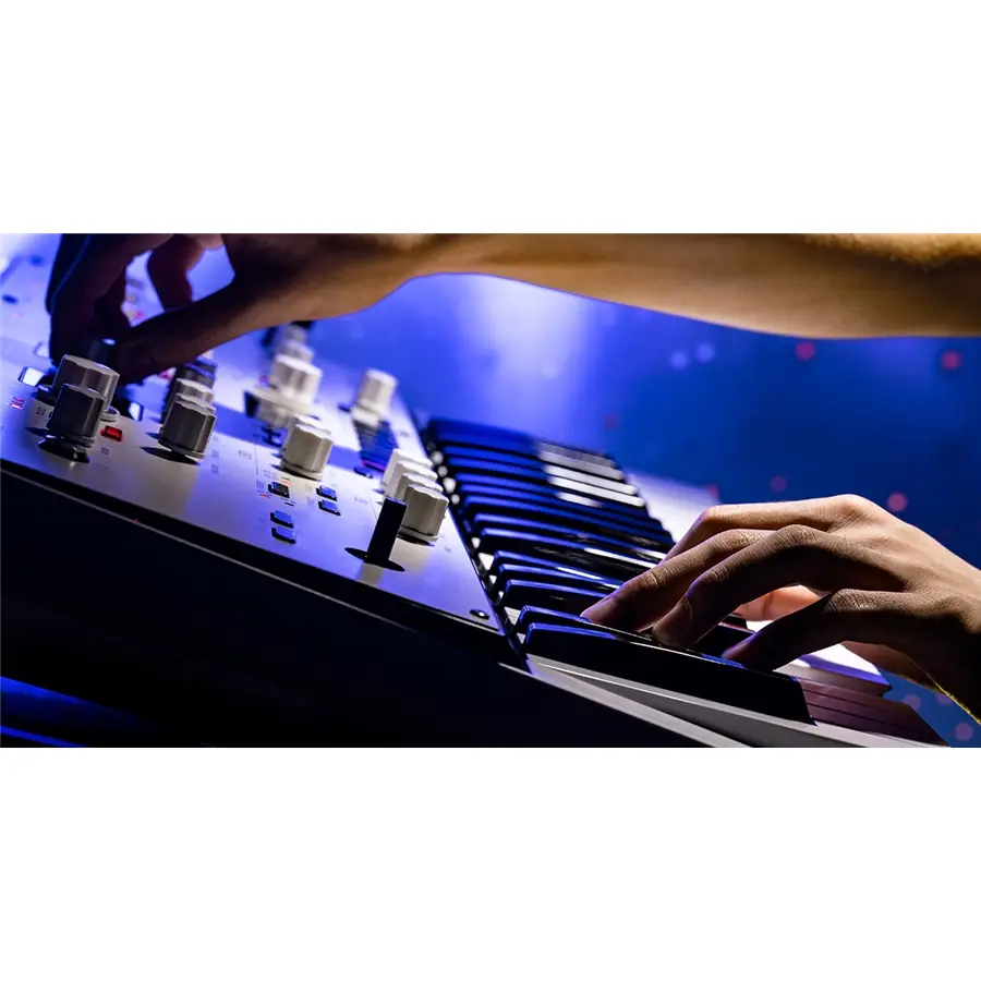 30-korg-kingkorg-neo-c1280200393_17