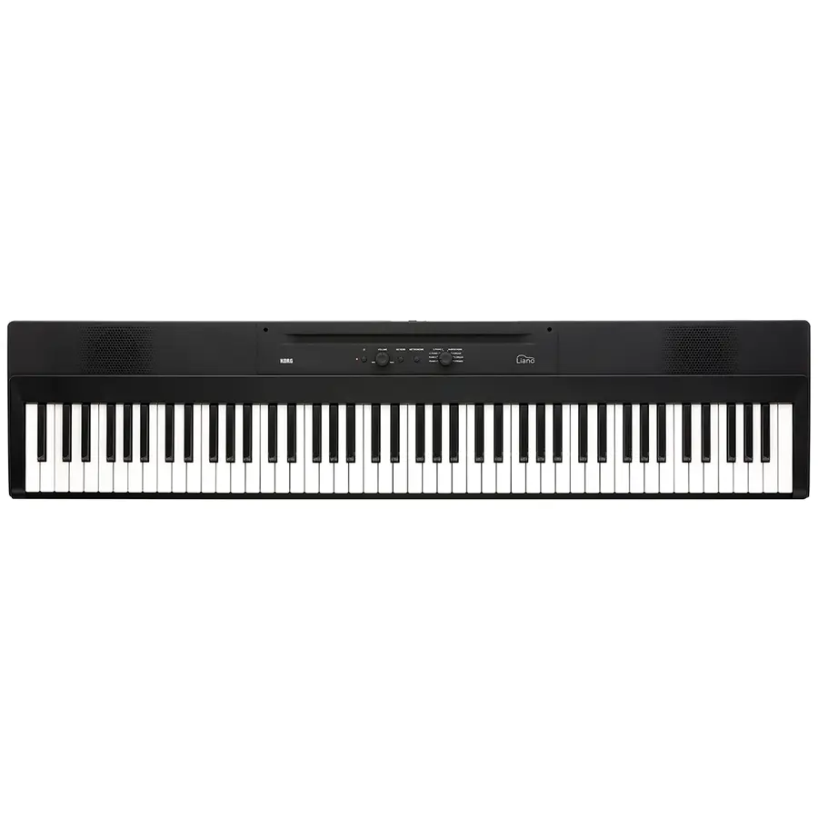 30-korg-liano-pianoforte-digitale-portatile-c1280220236_0