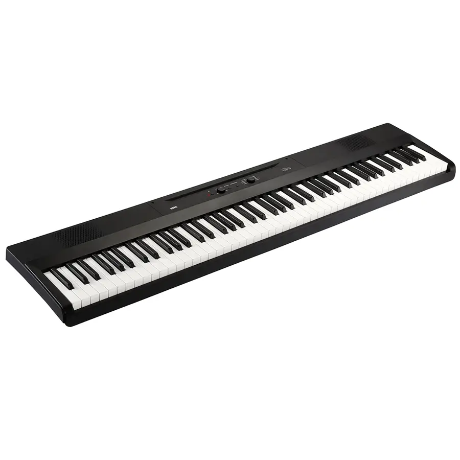 30-korg-liano-pianoforte-digitale-portatile-c1280220236_1
