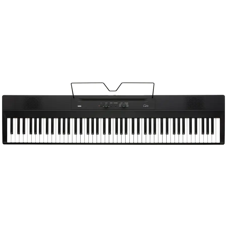 30-korg-liano-pianoforte-digitale-portatile-c1280220236_2