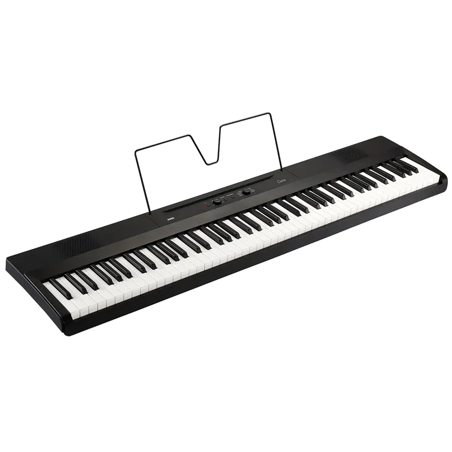 30-korg-liano-pianoforte-digitale-portatile-c1280220236_3