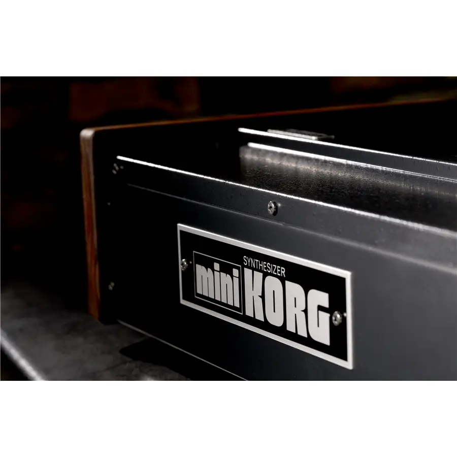 30-korg-minikorg-700-fs-c1280240181_16