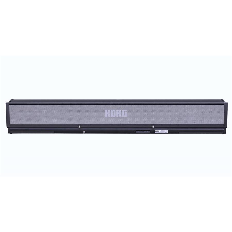 30-korg-paas-2-c1280250307_0