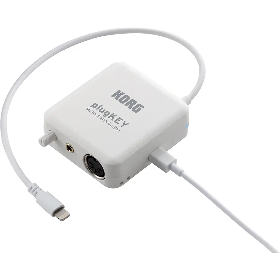 30-korg-plugkey-wh-c1280270175_1