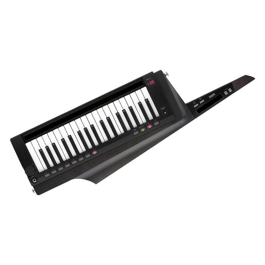 30-korg-rk-100s2-blk-c1280200379_0