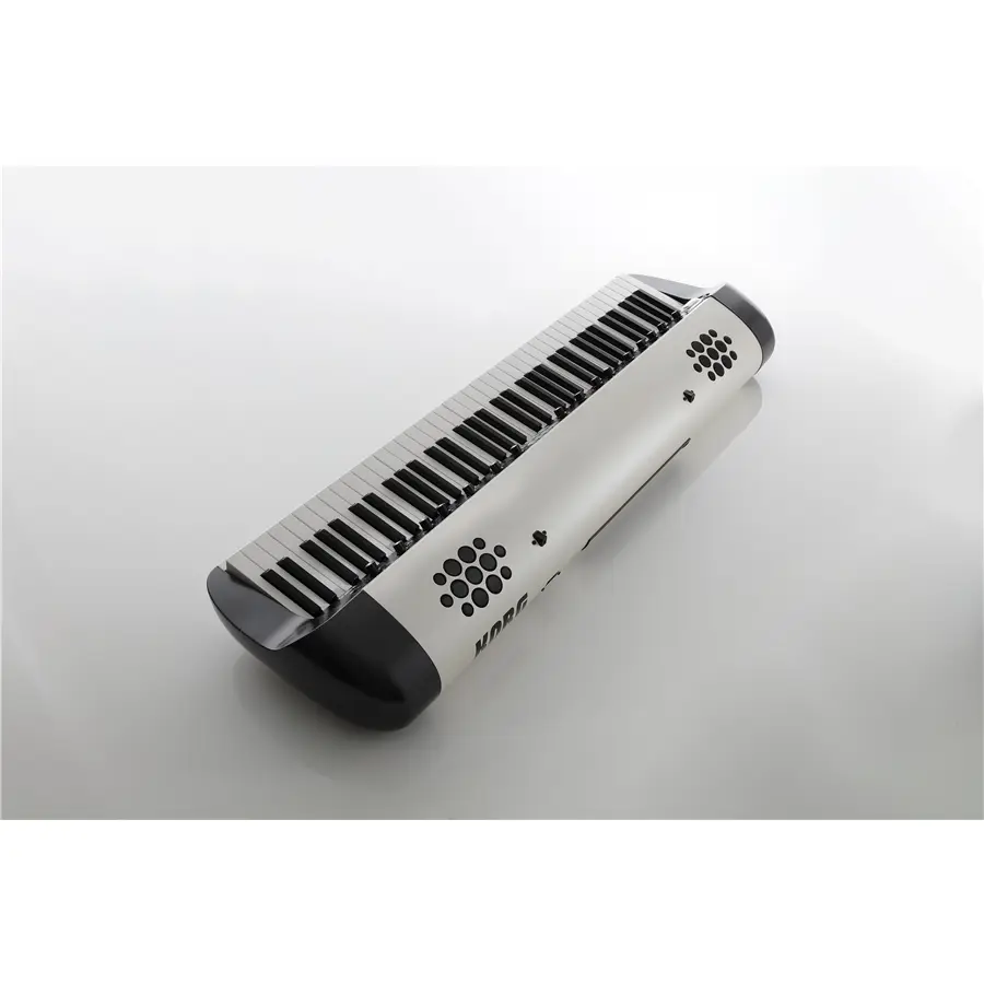 30-korg-sv2-73s-c1280220221_3