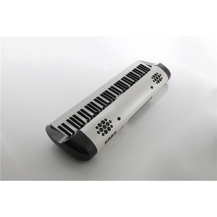 30-korg-sv2-73s-c1280220221_3