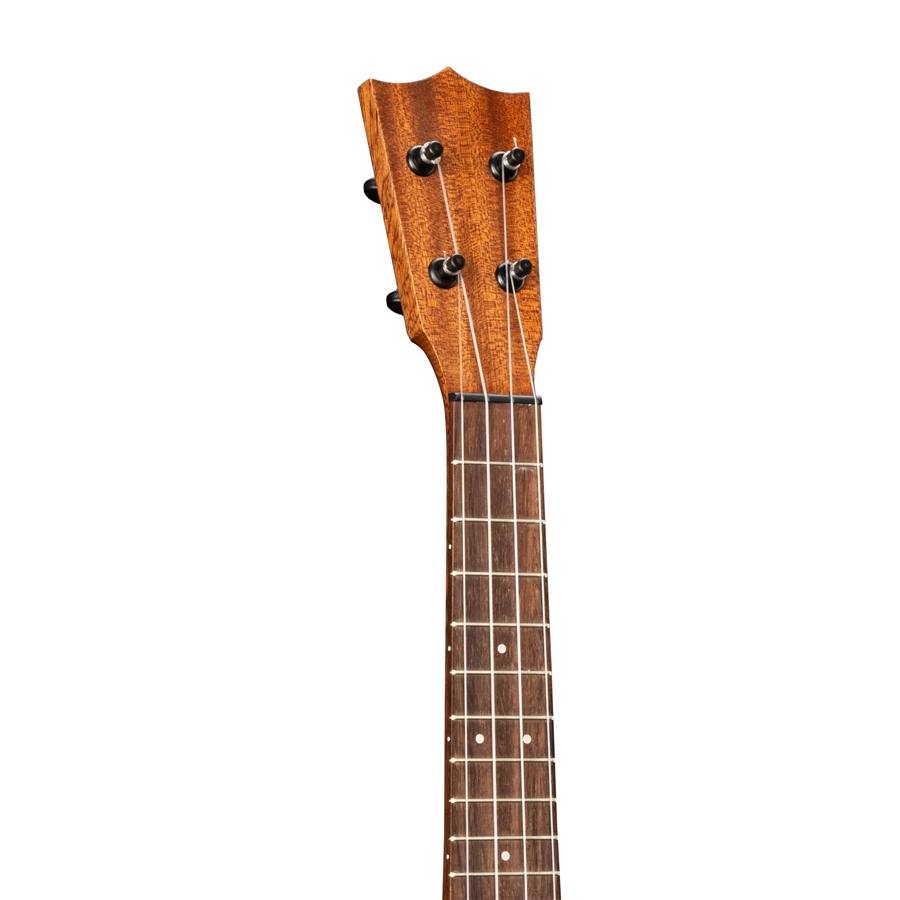 33-martin-co-centennial-concert-uke-06601363_2