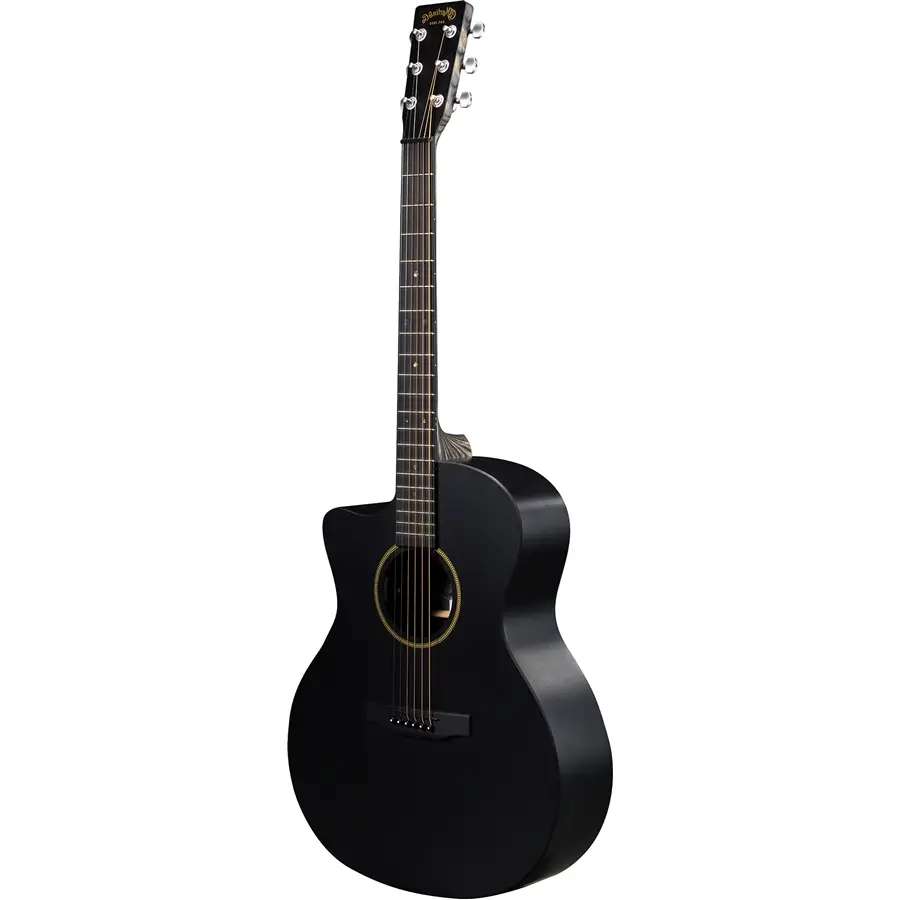 33-martin-co-gpc-x1el-black-left-remastered-06603040_0