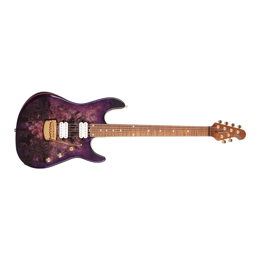 Cutlass HH Trem 6 Richardson Purple