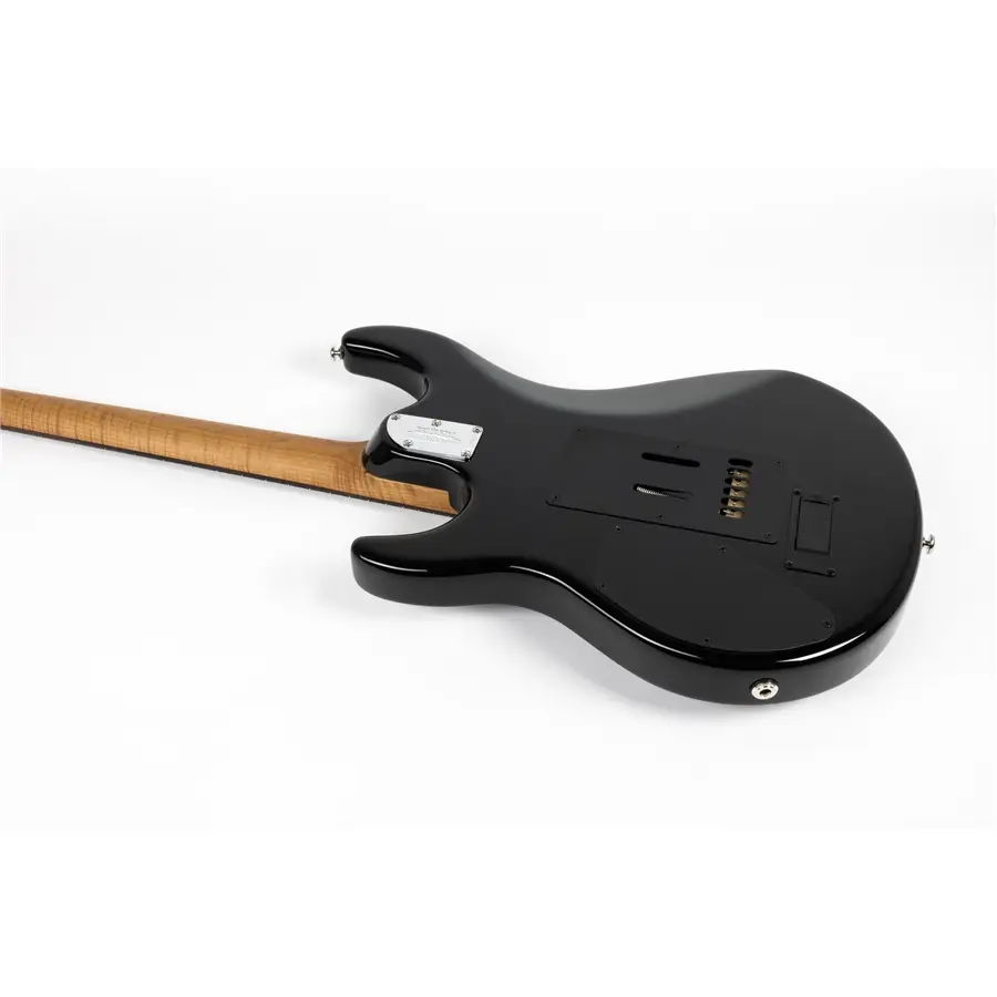 35-music-man-luke-4-hh-blue-dream-flame-mm-985lbfr200mbcr_7